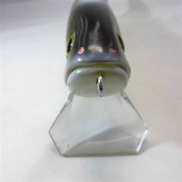 ダウズスイマー２２０ＳＦ